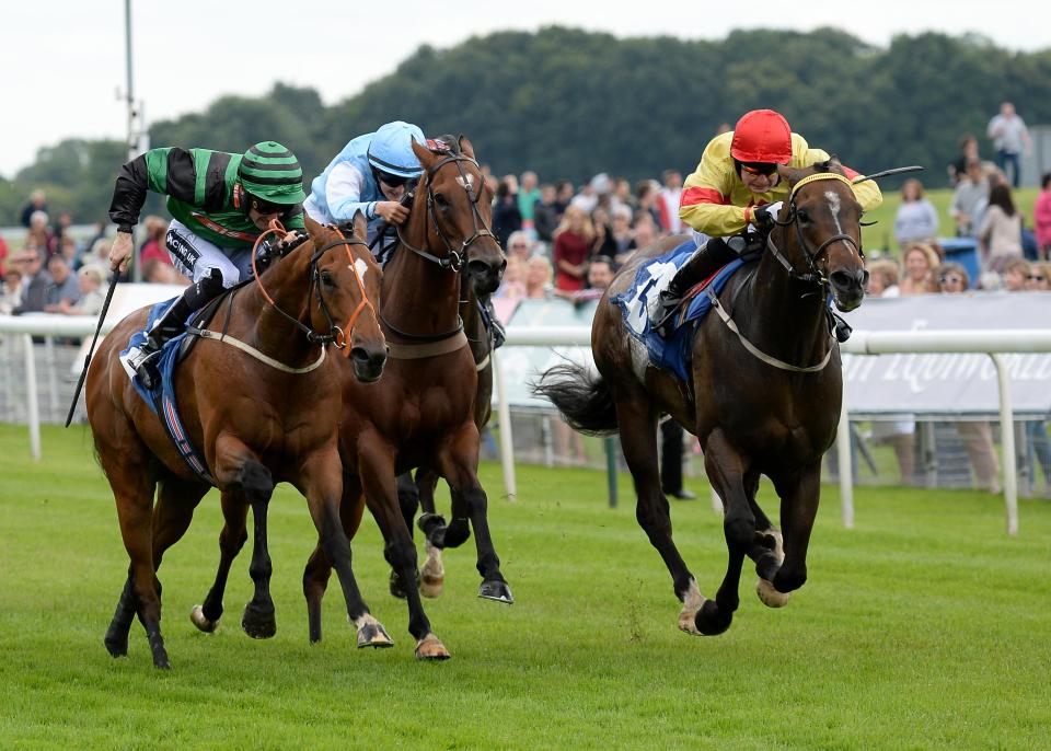  Alpha Delphini (right) bis for back-to-back wins in the race