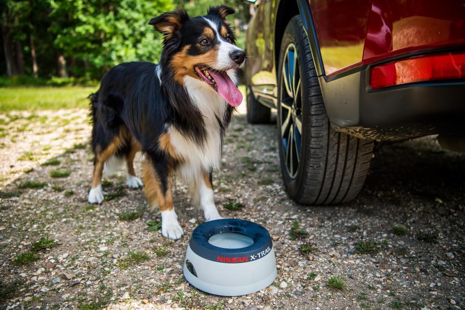  X-Trail branded dog bowl is part of the pack