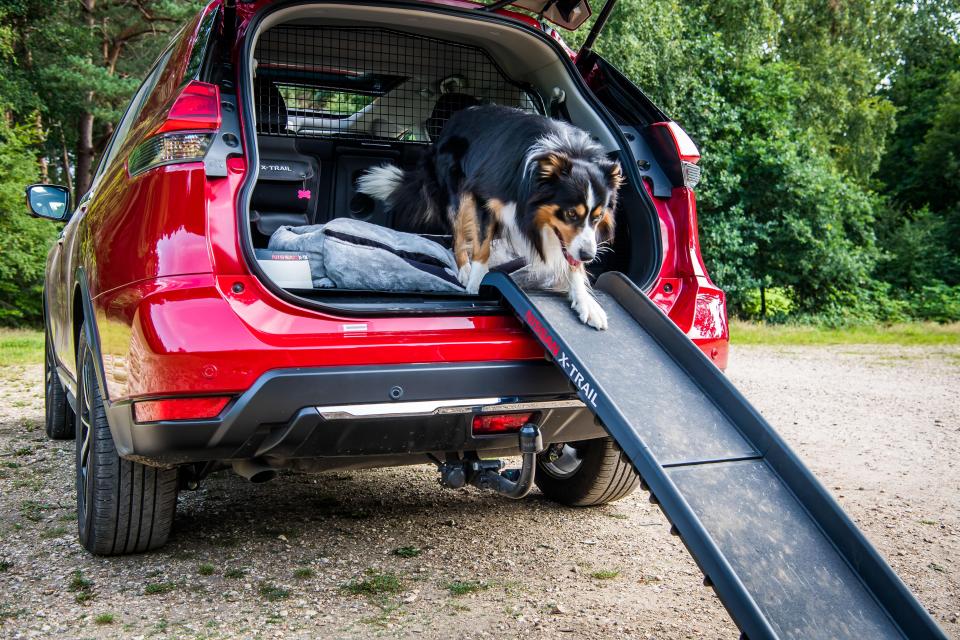  Ramp helps smaller pets climb on board