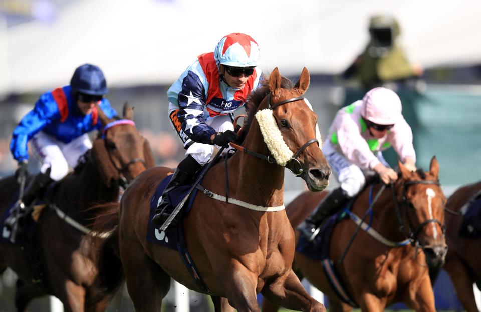  Desert Skyline was last seen winning impressively at Ascot