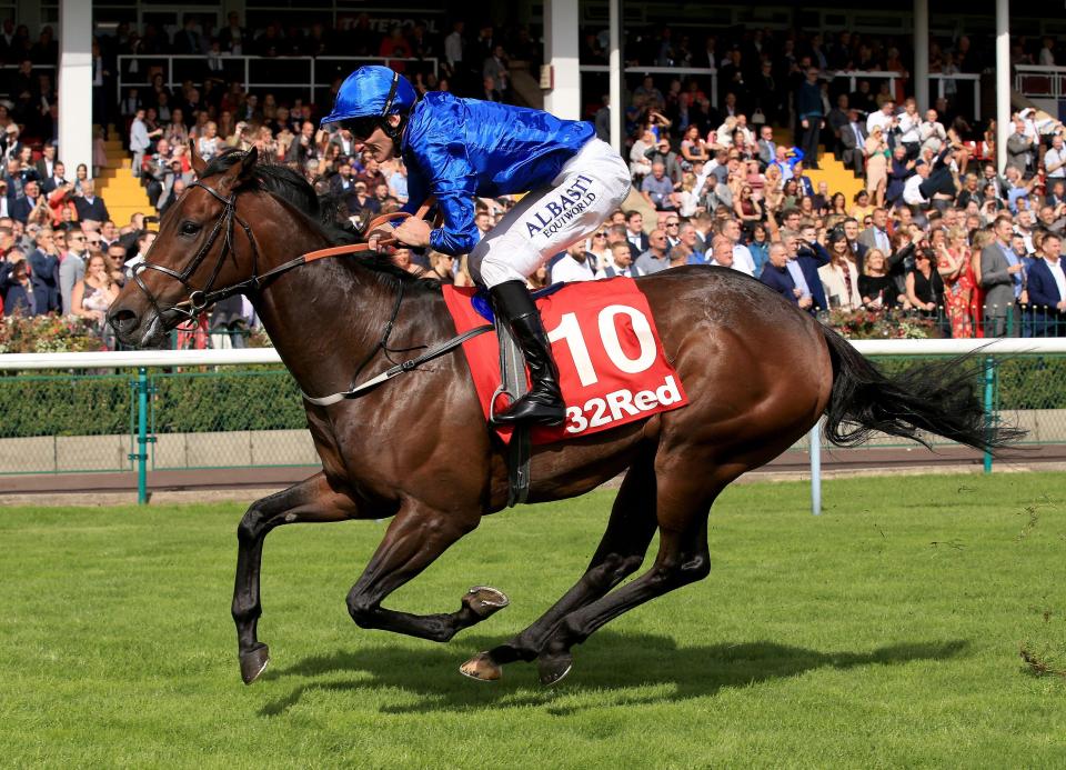  Group 1 winning sprinter Harry Angel will return to action at York