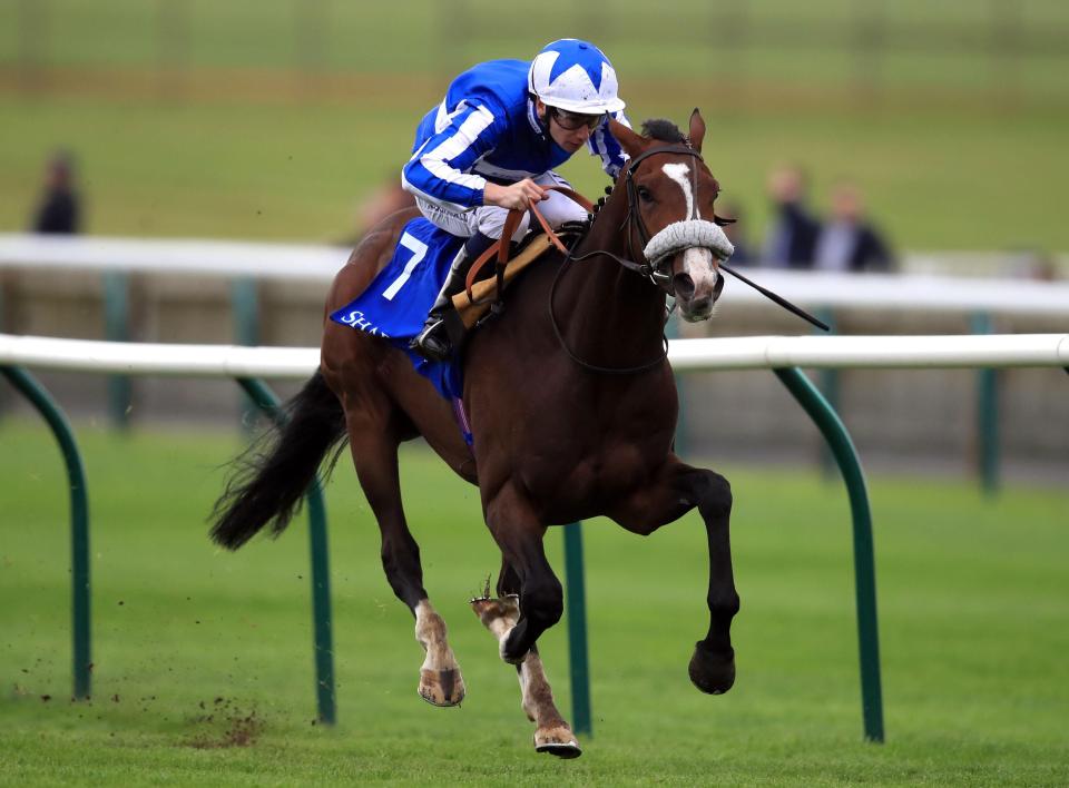  Beat The Bank was impressive at Newmarket when last seen