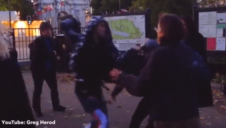  Activists hurl punches at each other at Speaker's Corner in Hyde Park