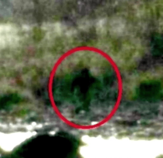 Another image from one of the sightings near Avocado Lake in California which have baffled paranormal investigators