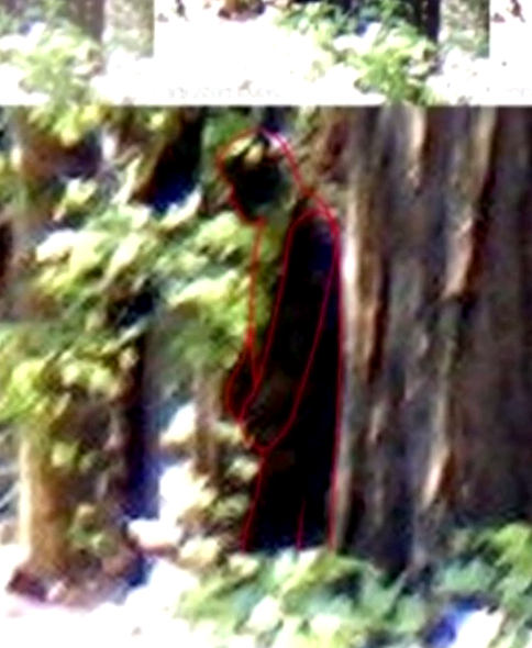 Paranormal expert Jeffrey Gonzalez has shown this photo of what he believes is Bigfoot from a sighting in the area