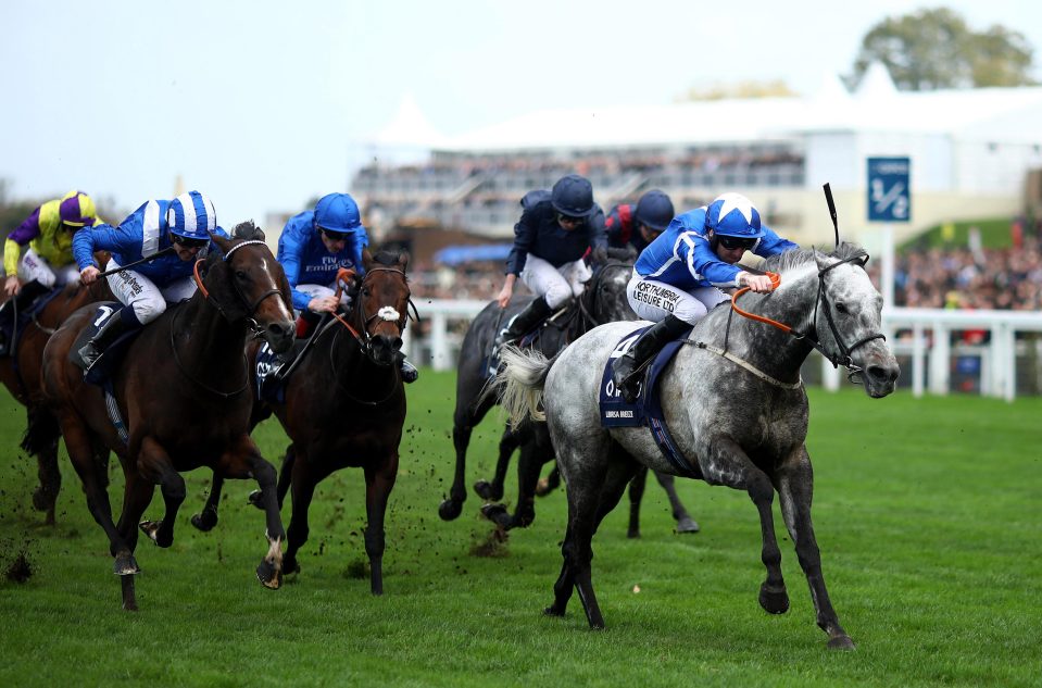  Librisa Breeze leads the field home in the sprint