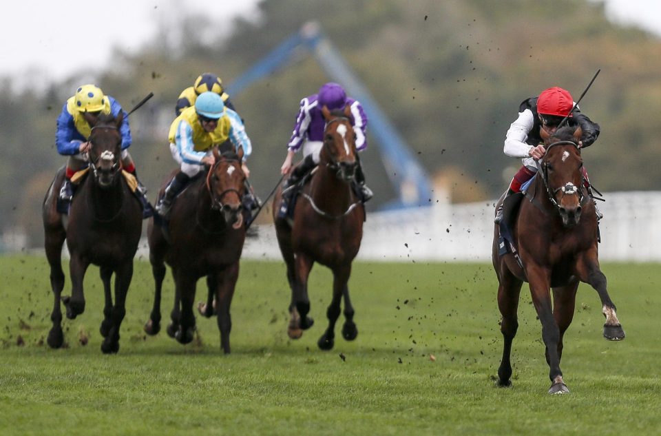  Cracksman powers clear of the field