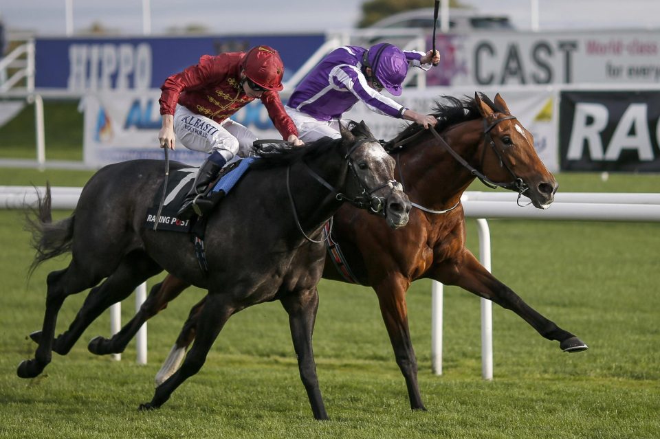  Ryan Moore and Saxon Warrior (far side) battled back to win the Racing Post Trophy