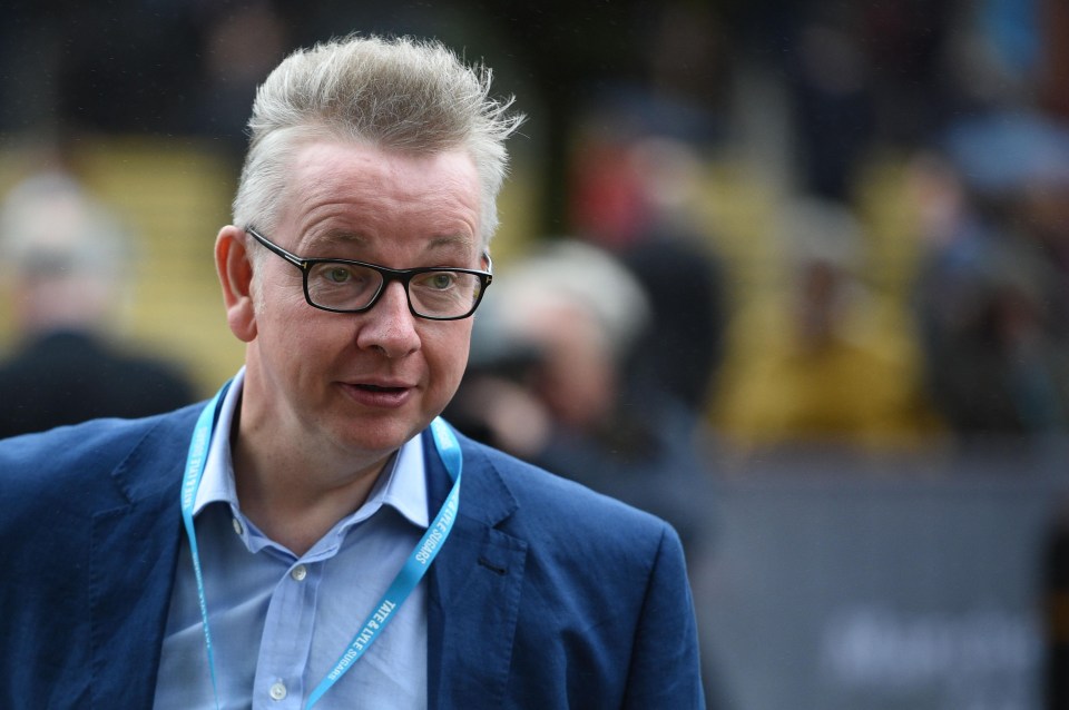 Michael Gove says the UK will be able to sell more pigs’ ears after Brexit too