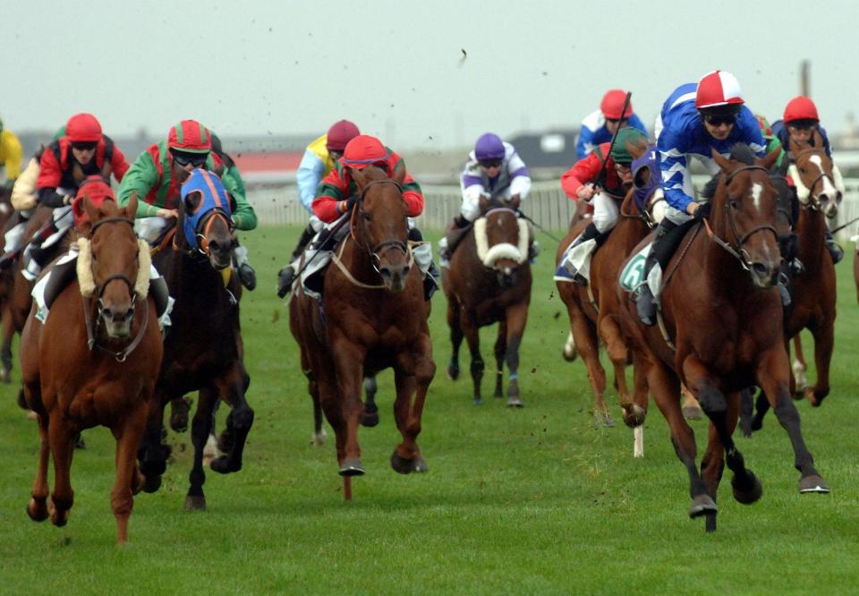  Yarmouth should be a decent affair today, and there is plenty of value on offer for punters