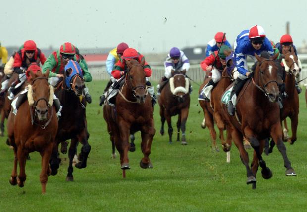 Yarmouth should be a decent affair today, and there is plenty of value on offer for punters