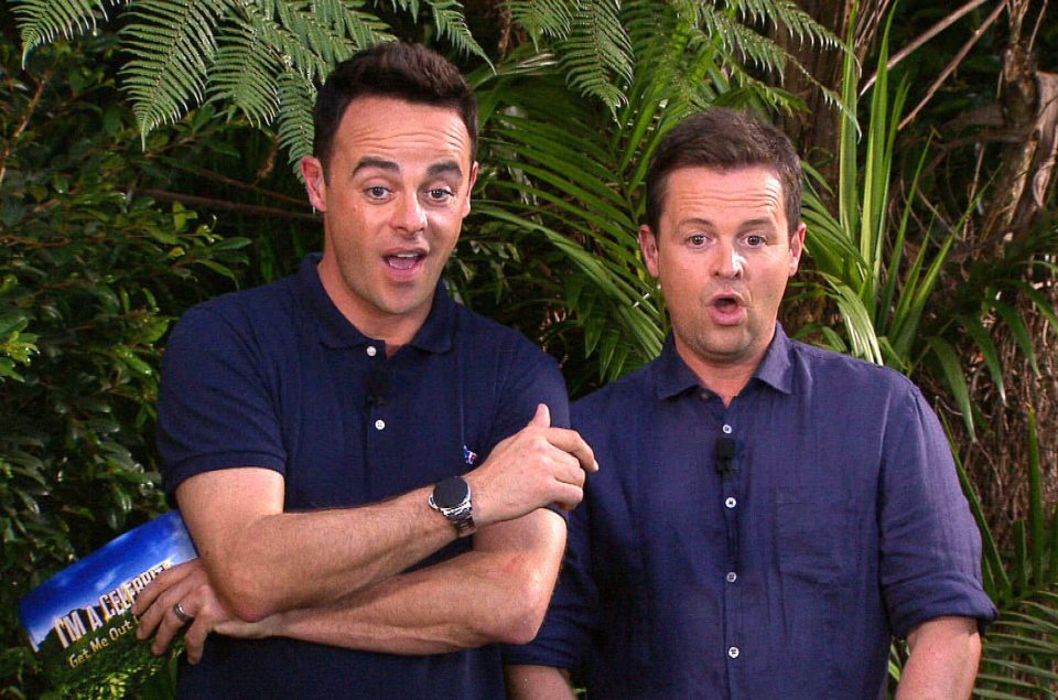  Lauren is reportedly considering joining Ant McPartlin and Declan Donnelly in the jungle