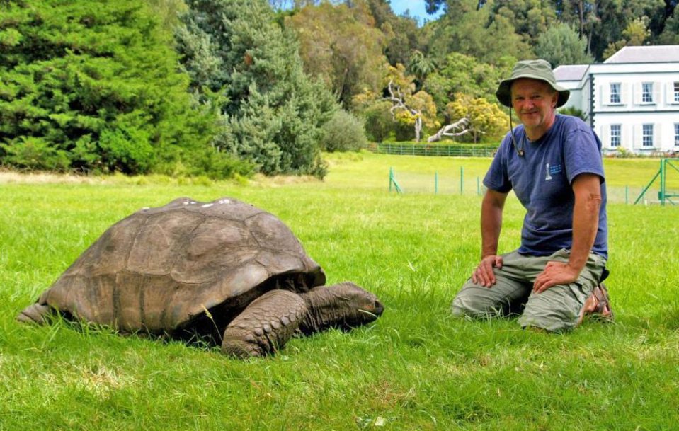  Jonathan, pictured with vet Dr Joe Hollins, has been mating with another tortoise since 1991