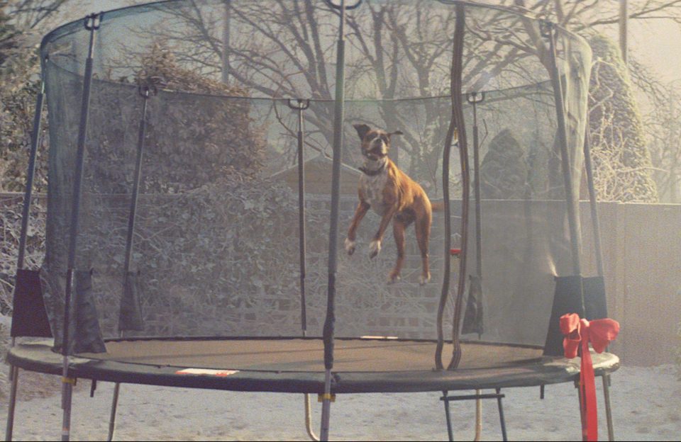  The ad for 2016 saw Buster bounce up and down on the family trampoline