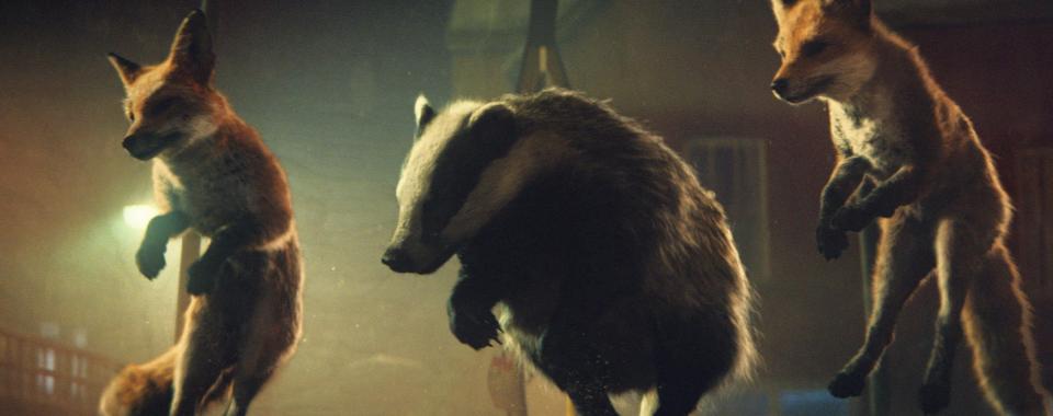  It wasnt just Buster, a whole host of animals had a go on the trampoline in last years John Lewis ad