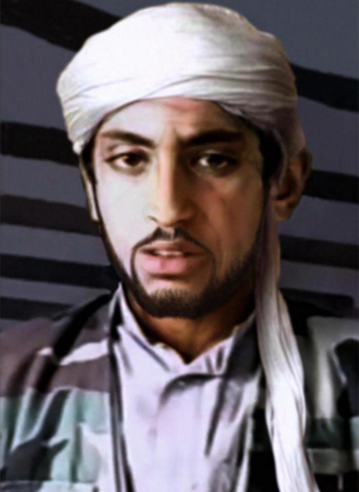  Experts generated this image of what Hamza might look like now