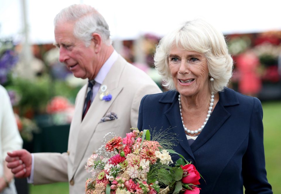  Prince Charles and Camilla rarely show public displays of affection