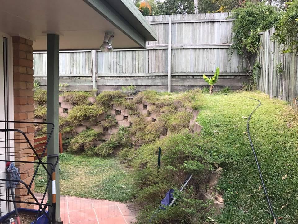  Can you spot the snake hiding in this normal-looking garden scene?