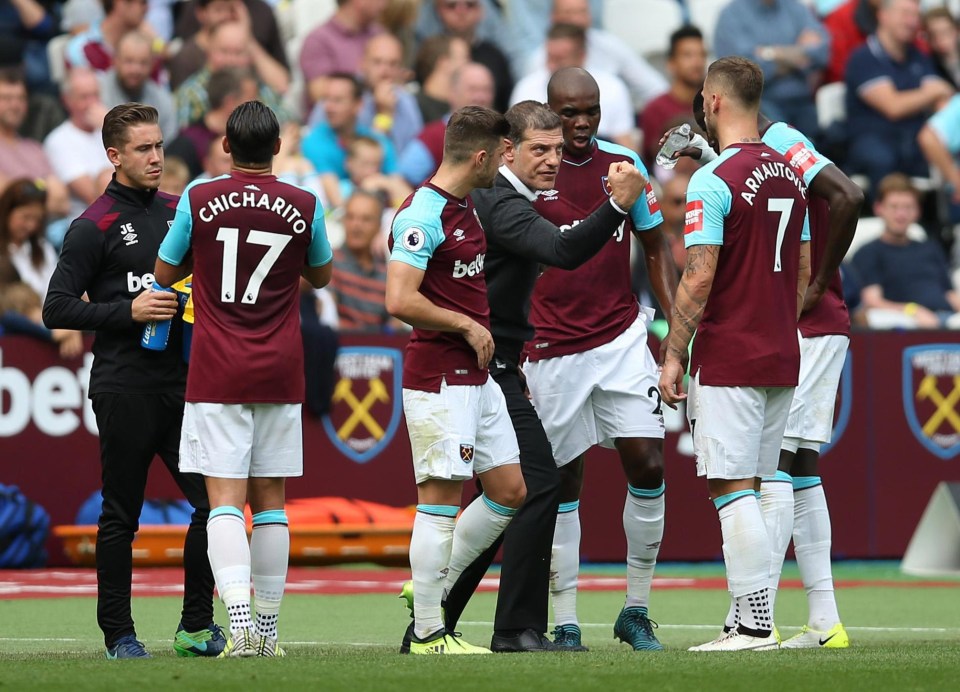 Bilic encourages his side during a Premier League clash against Spurs