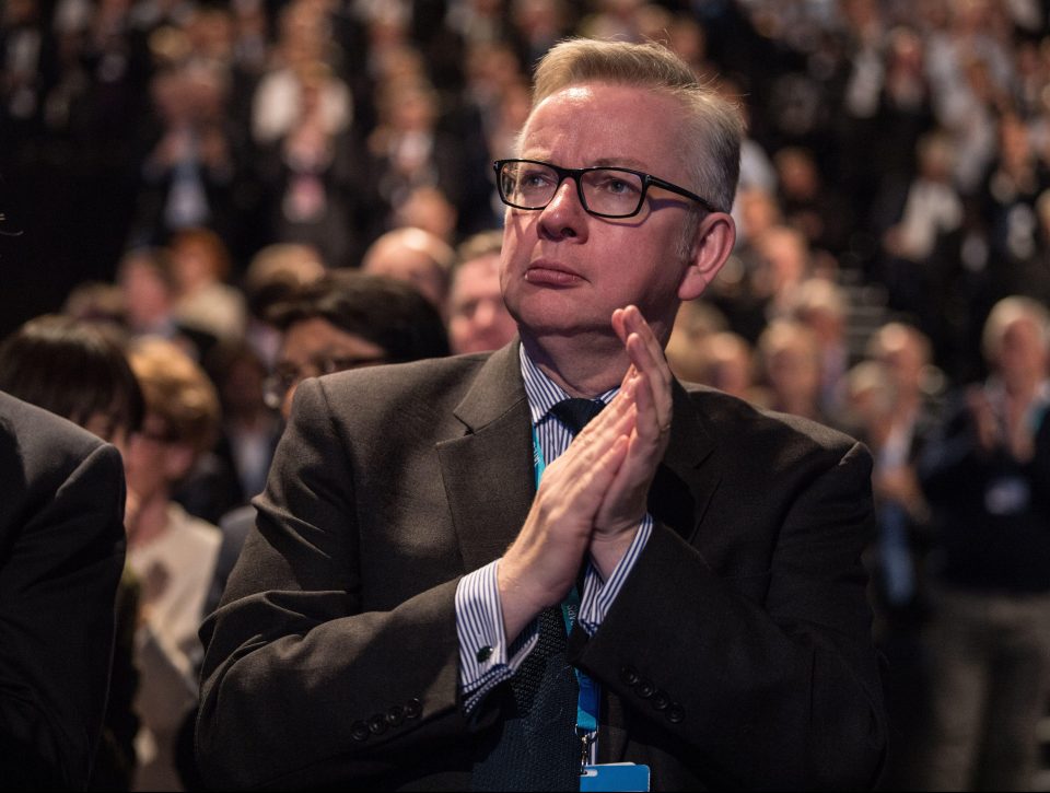  Boris referred to Environmental Secretary Michael Gove as 'my friend'