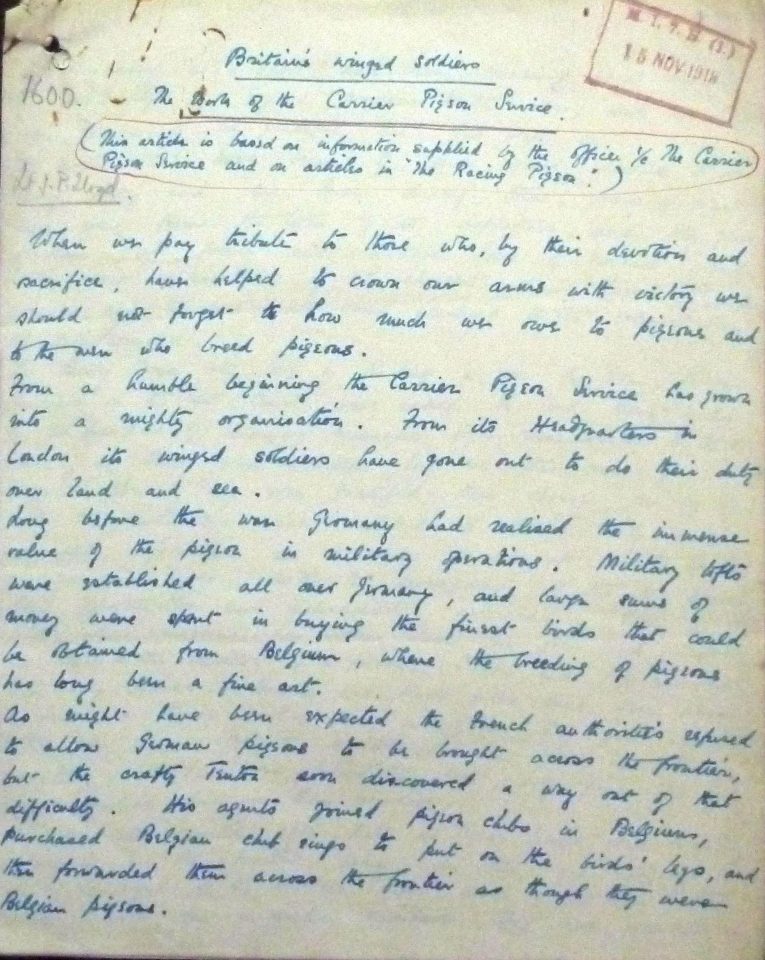  A letter paying tribute to the VC Pigeon wounded by a German sniper