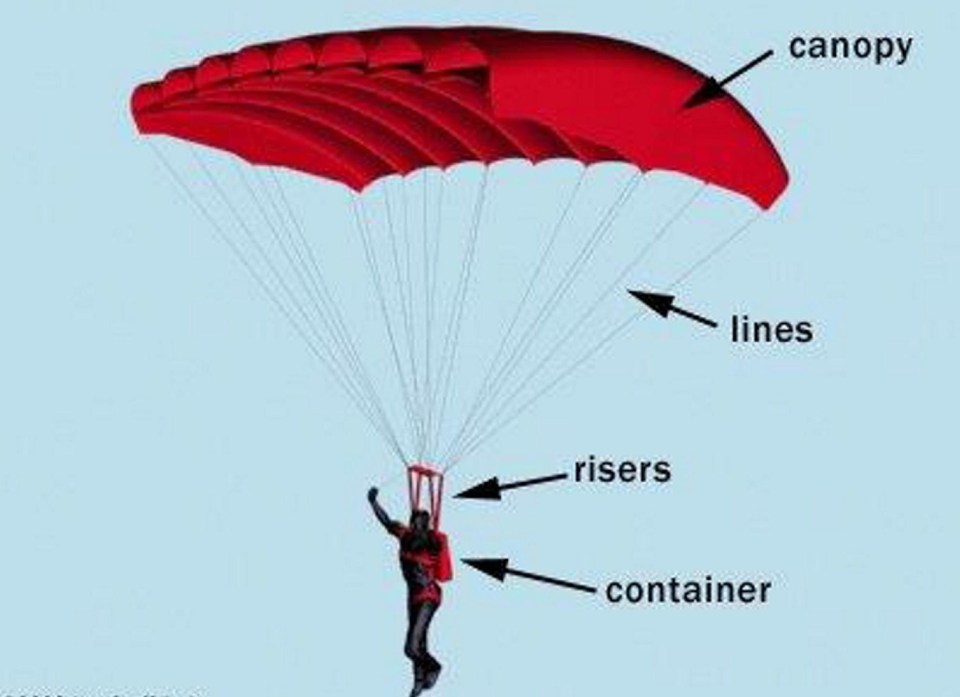 When Mrs Cilliers went to make the jump from the Cessna Caravan light aircraft, both her main and reserve parachute failed and she spun helplessly to the ground. Pictured is a standard parachute set up