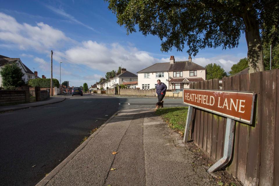  The pig was on the loose on Heathfield Lane when it mauled a woman