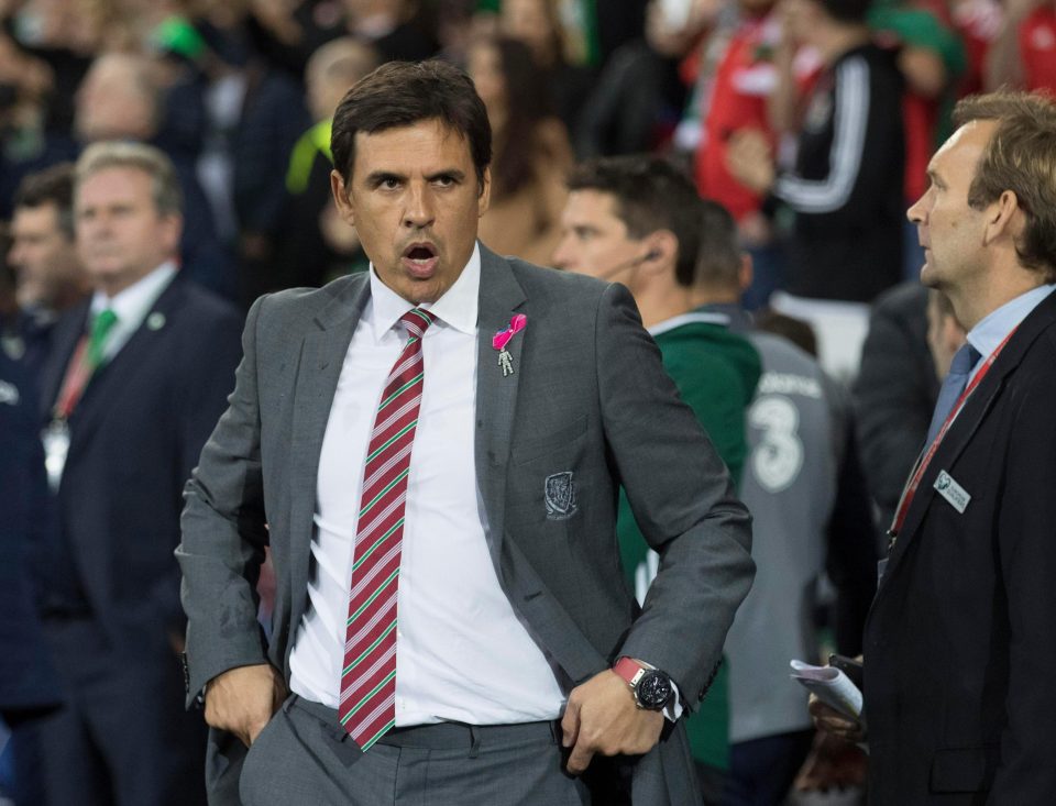  Chris Coleman's Dragons failed to reach the World Cup