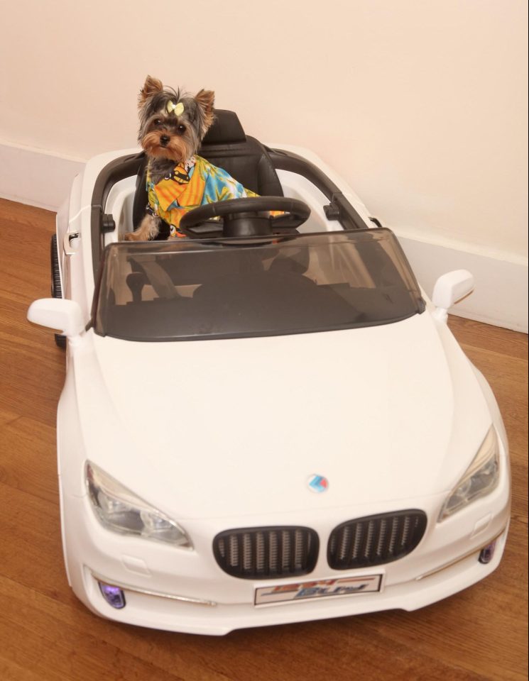  Esme in the driving seat of her £150 electric BMW