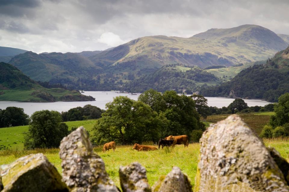  Areas such as the Lake District, pictured, have increased in popularity