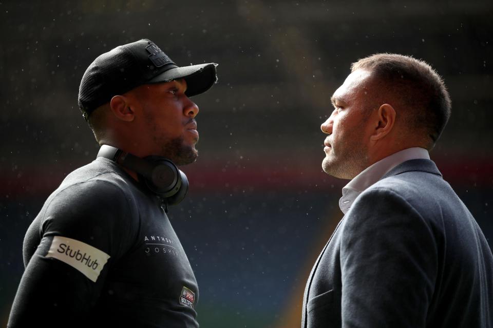  Kubrat Pulev was forced to withdraw from Anthony Joshua fight due to injury