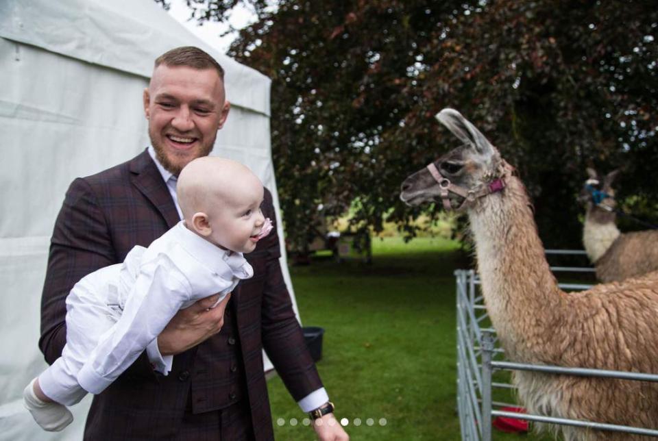  Guests were treated to an array of animals at Luttrellstown Castle