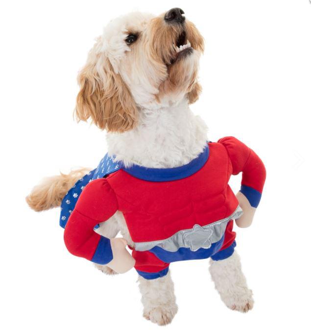  There are three superhero dogs costumes currently available from the store - Super Dog style pictured