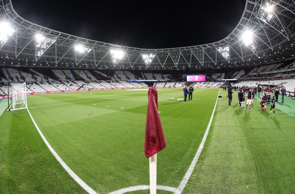  The option of a navy blue colour for the astroturf was rejected as it is too similar to the Spurs association