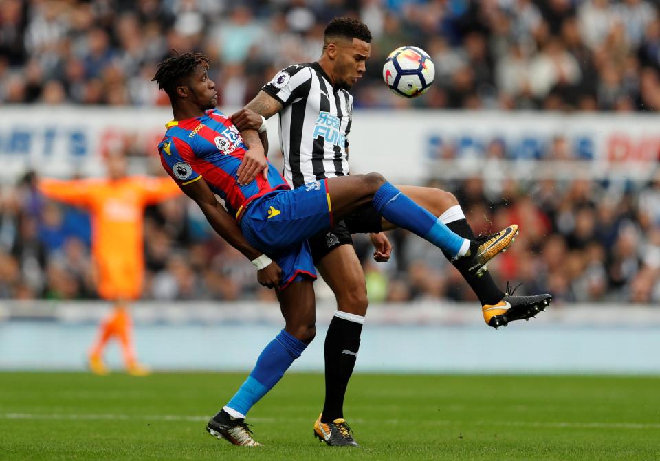 Jamaal Lascelles is proving a real rock at the heart of the Newcastle defence