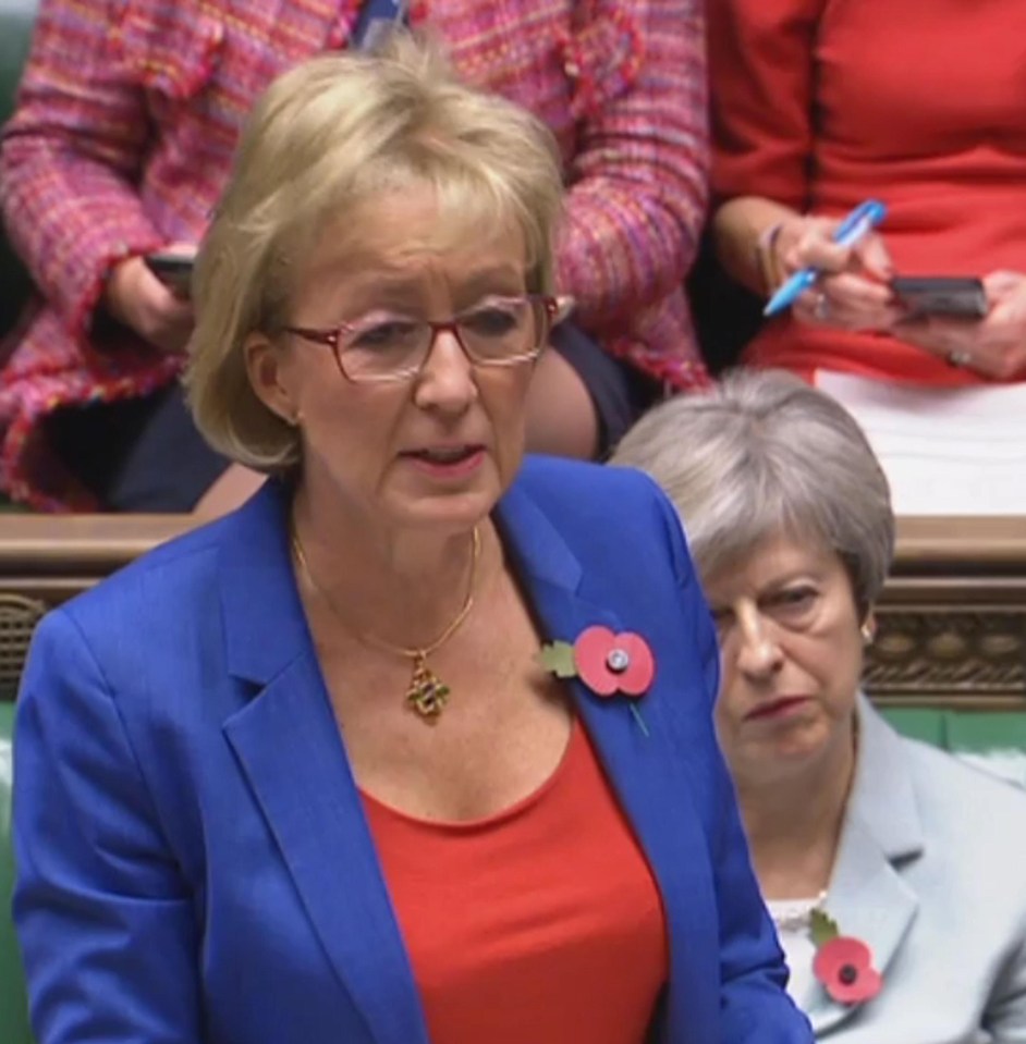 Andrea Leadsom pledged the investigation would leave no part of Parliament unturned 