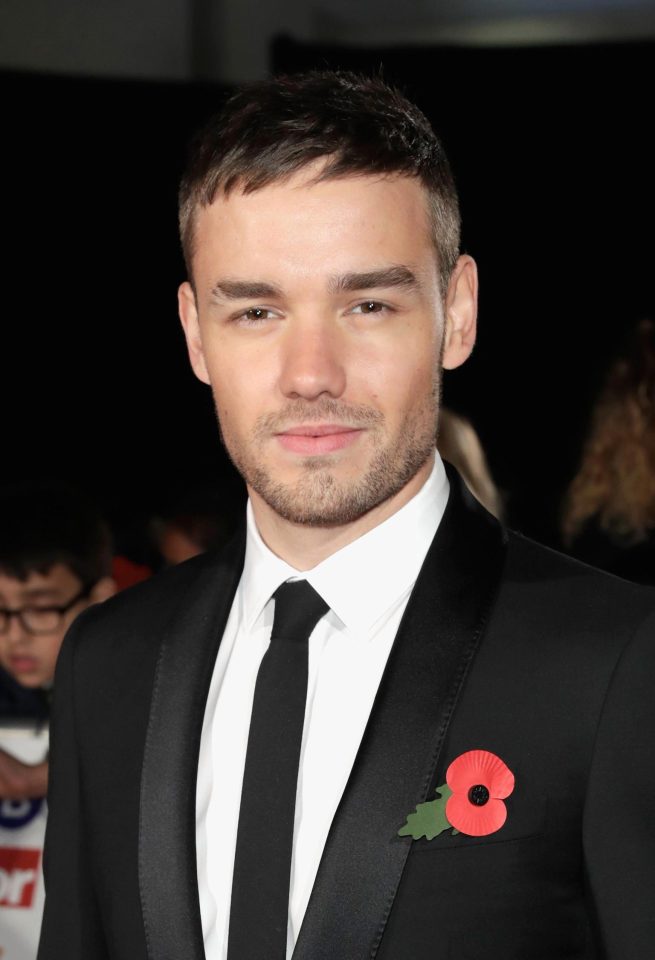  Liam Payne co-hosted an episode of the first series