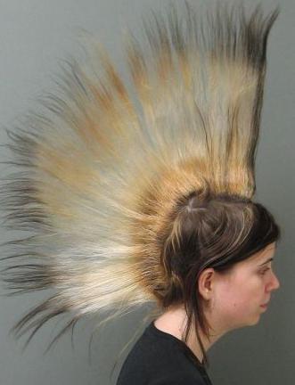 This daring rocker took the mohawk to whole new heights