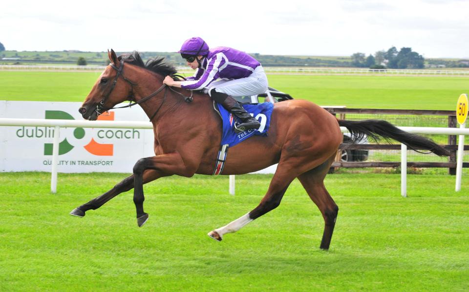  Saxon Warrior is favourite for the Racing Post Trophy