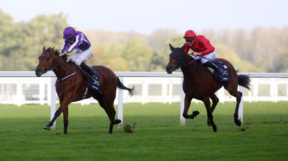  Hydrangea (left) leads Bateel home