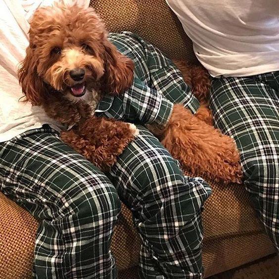 A company is now selling adorable doggy pyjama sets to match your own