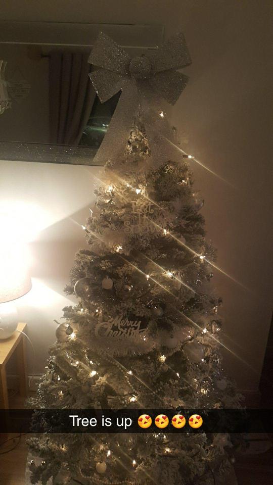  Ainsley Wallace shared her ASDA tree on Snapchat