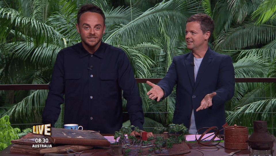  Ant and Dec had plenty of banter on tonight's I'm a Celebrity