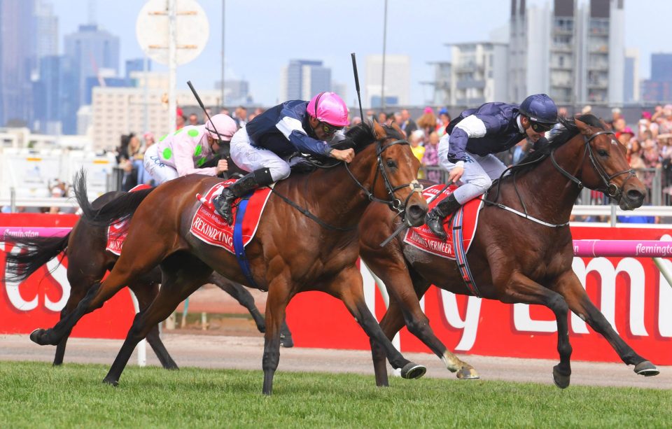  Max Dynamite finished third in the Melbourne Cup behind Rekindling