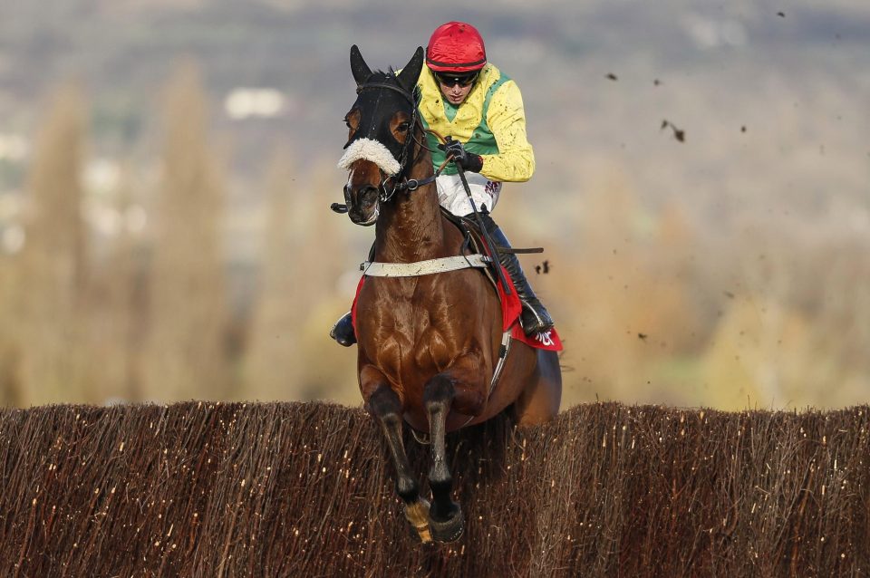  Fox Norton is the new favourite for the Tingle Creek Chase at Sandown