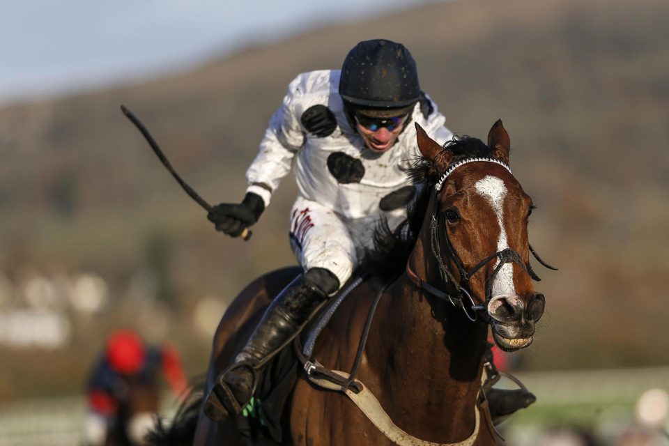  Elgin won the Greatwood Hurdle at Cheltenham last month