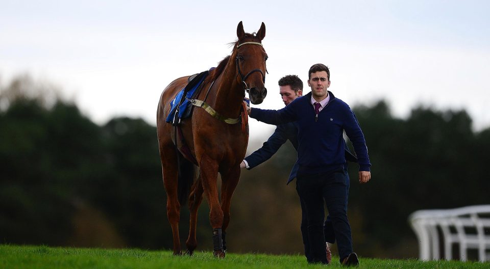  Yanworth had fallen over fences earlier in the season