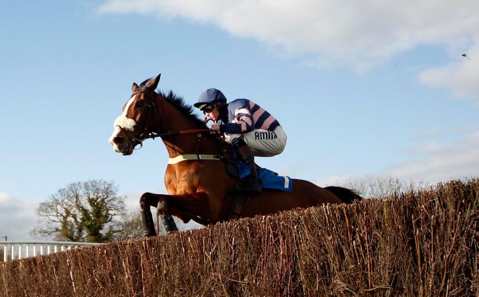  Ar Mad scoped dirty following the Haldon Gold Cup