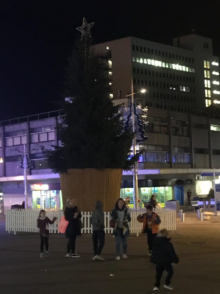  This is a Christmas Tree lies in Southend, a local said it's 'all base and no tree'