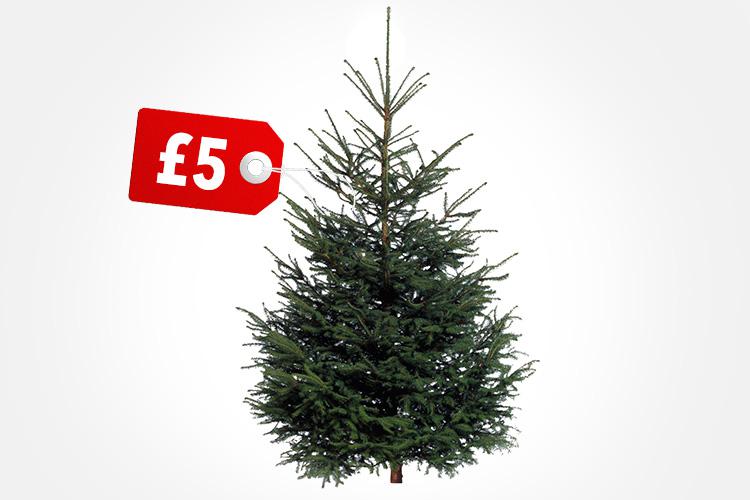  Ikea's £20 voucher offer for those who buy a £25 Christmas tree may help sweeten the deal